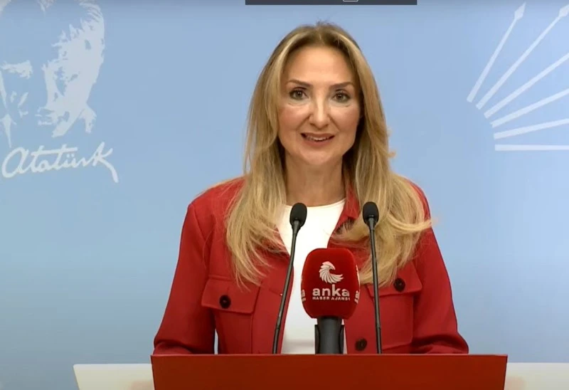 CHP'li Aylin Nazlıaka, Parti Genel Merkezinde Basın Toplantısı Düzenledi