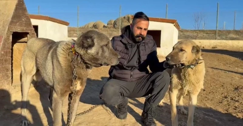 Milli değerlerimiz bizi orada temsil edecek