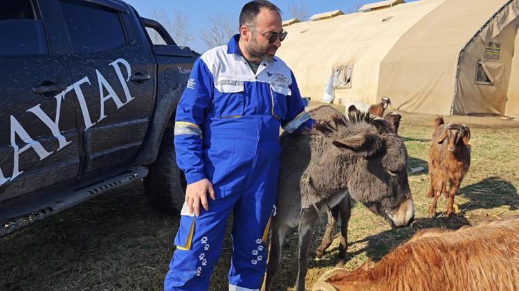 Sivas'ta Ağaca Bağlanıp Ölüme Terk Edilen Kadifenin Şaşırtıcı Dönüşümü