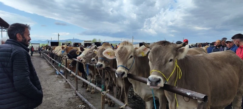 Sivas'ta Besicilere Uyarı! Kurallara Uymayan Pazara Giremeyecek