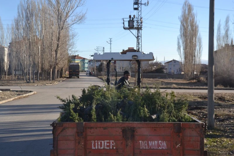 Sivas'ta Mahalle Muhtarından Örnek Davranış! 40 Bin Fidan Dağıttı