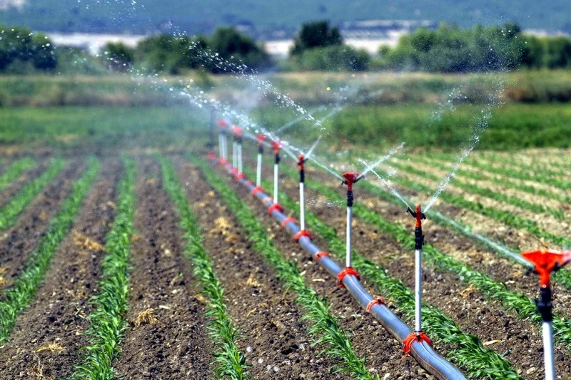 Tarım ve Orman İl Müdürü Seyit Yıldız'dan Üretim Planlaması ve Destekleme Modeli Açıklamaları