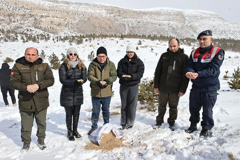 Yaban Hayvanları İçin Kış Destek Faaliyeti Sivas'ta Gerçekleştirildi